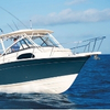 Boats